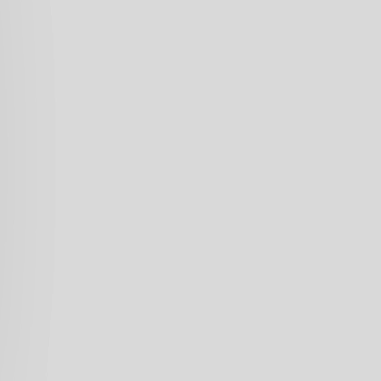 PRİMAŞAH SİYAH ZEYTİN 3 KG